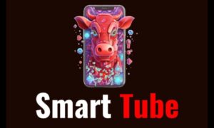 Scarica-il-corso-Smart-Tube-Pro-–-Mirko-Delfino-Build-Your-Brand