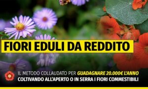 Download fiori eduli da reddito master – rendita agricola