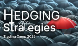 Hedging Strategies: Strategie di Copertura – QTLab